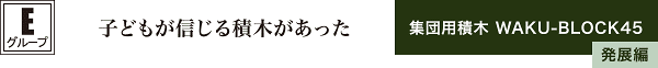 子どもが信じる積木があった　集団用積木 WAKU-BLOCK45発展編